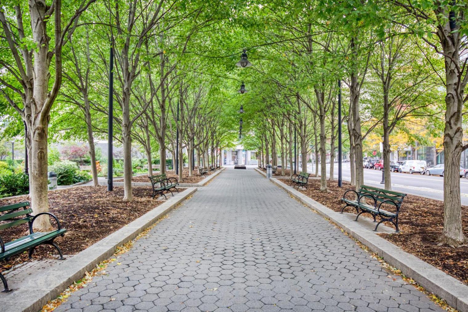 Apartamento Modern Fidi 1Br W Roofdeck Gym Doorman Nyc-443 Nueva York Exterior foto